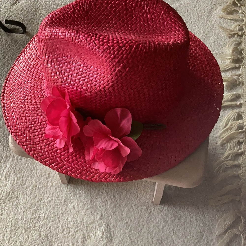 Raffia Hat Large Brim - image 3